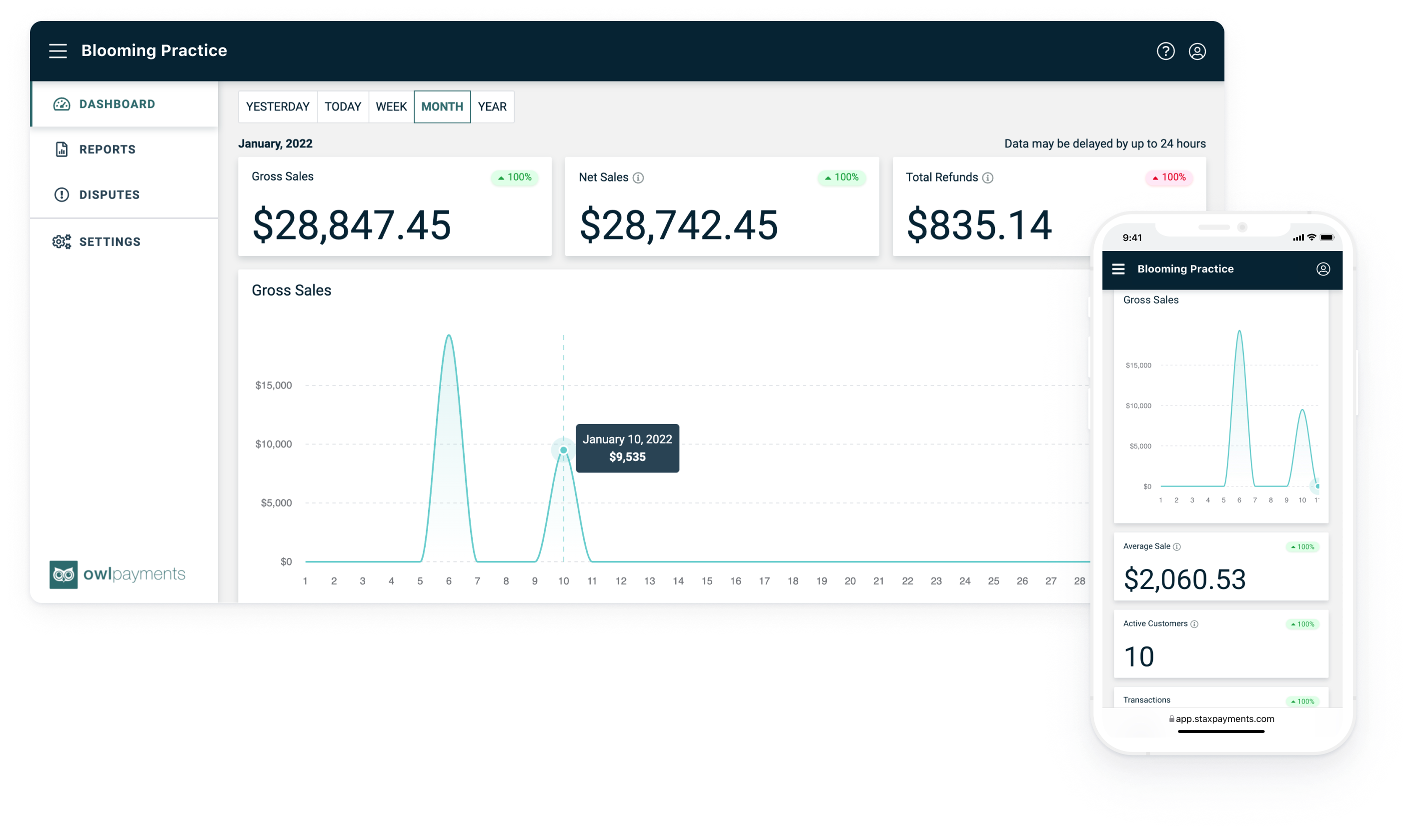 Owl Payments - Owl Practice | Mental Health Practice Management Platform