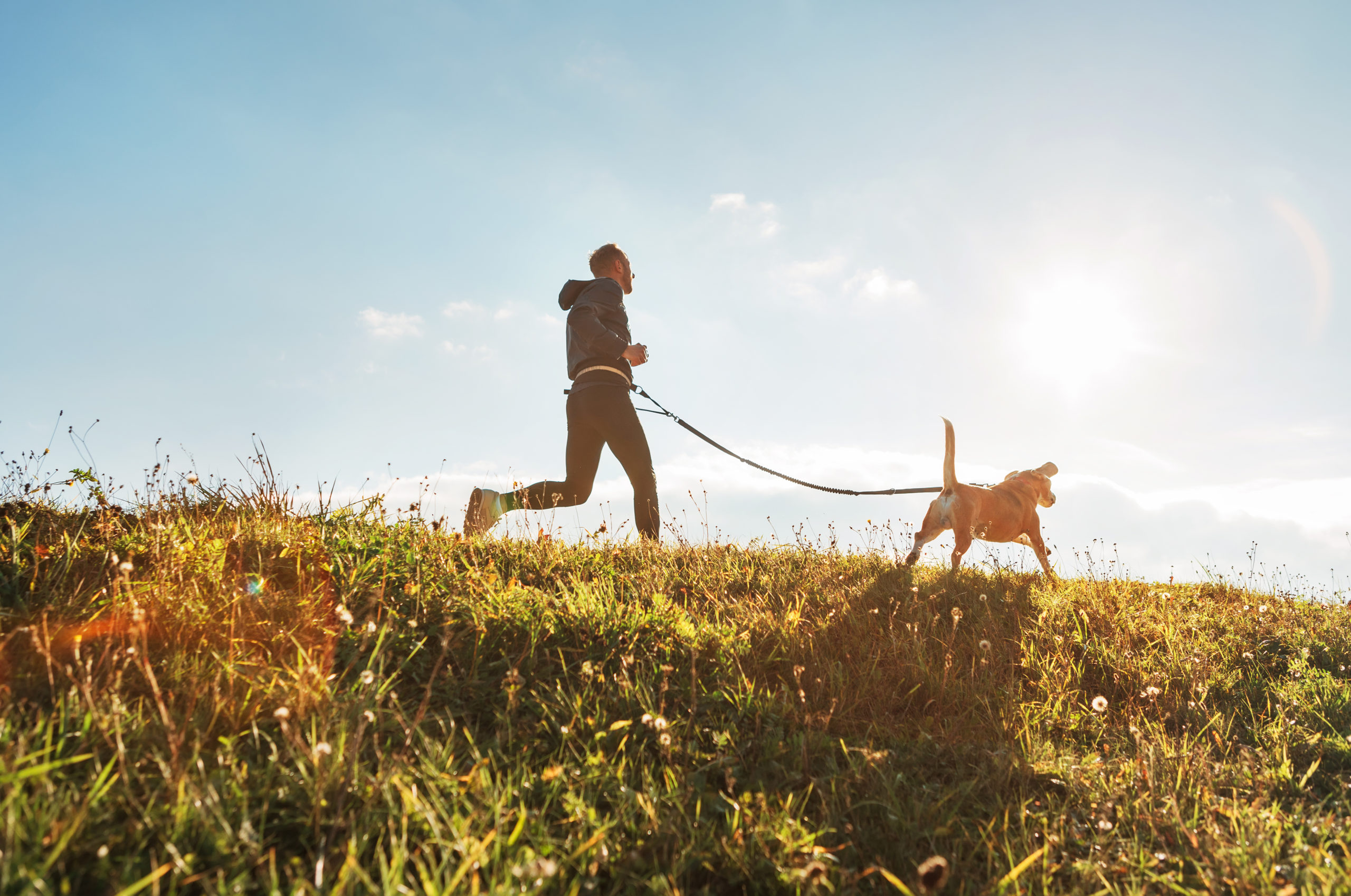 A great way to manage the stress of running your private practice is through exercise or spending time with your pets.