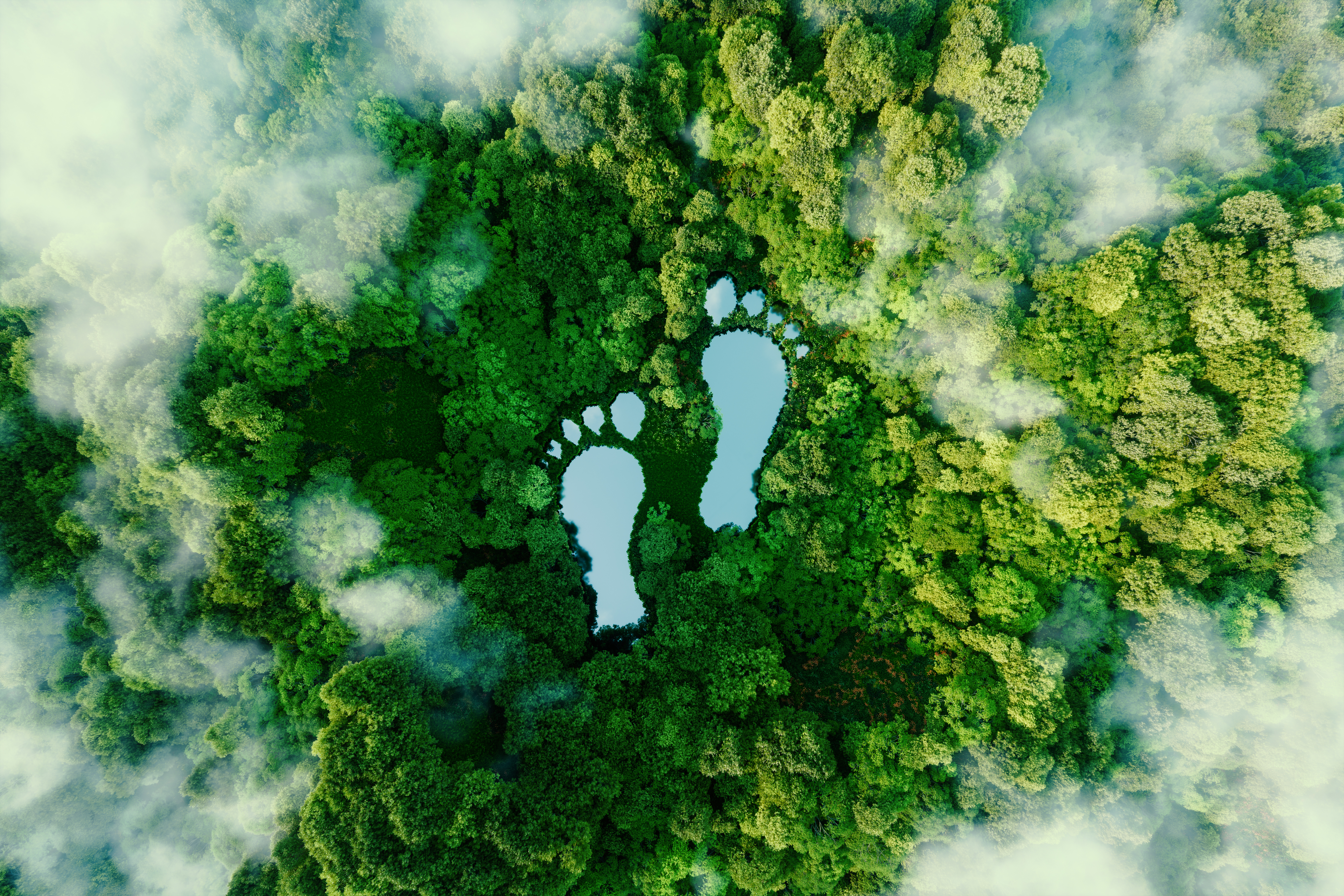 What's the ecological footprint of your practice?