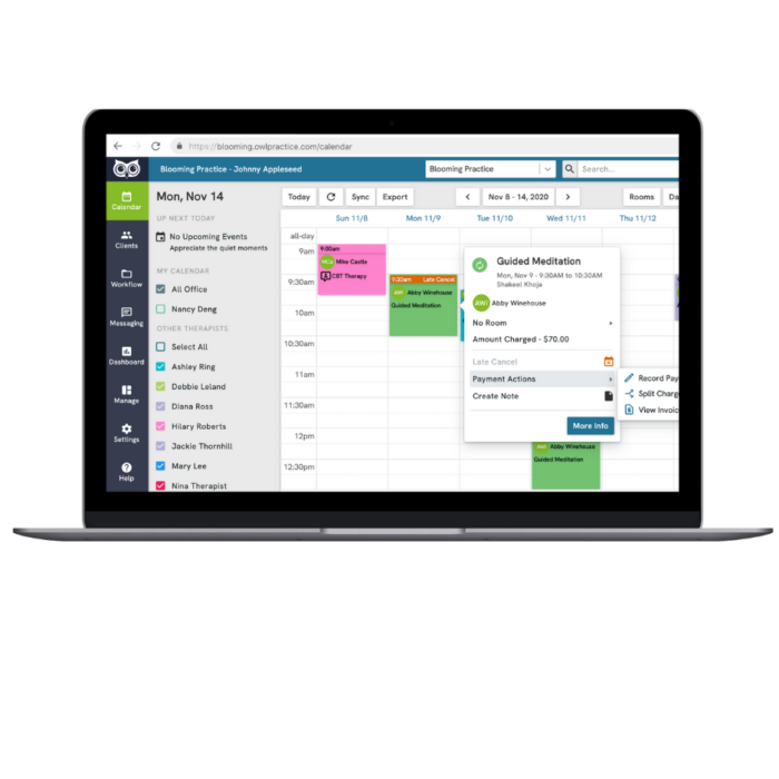 Practice Type – Owl Practice | Mental Health Practice Management Platform